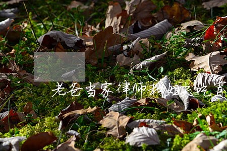 老爸当家律师和姐夫吃宵夜