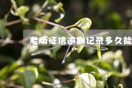 老版征信逾期记录多久能消除