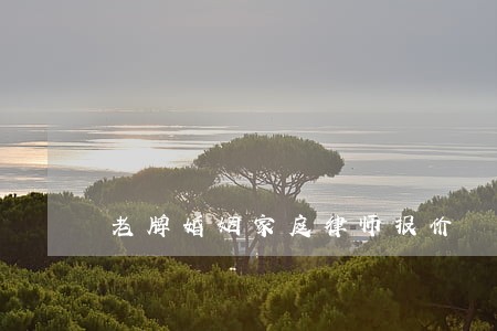 老牌婚姻家庭律师报价 老牌婚姻家庭律师报价