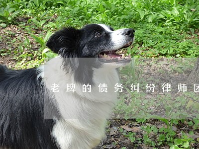 老牌的债务纠纷律师团队 老牌的债务纠纷律师团队