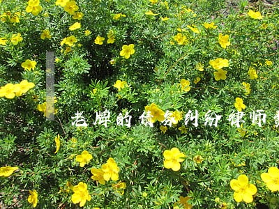 老牌的债务纠纷律师费用 老牌的债务纠纷律师费用