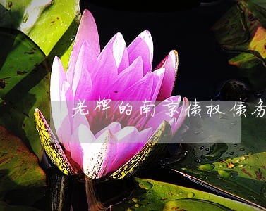 老牌的南京债权债务律师咨询 老牌的南京债权债务律师咨询