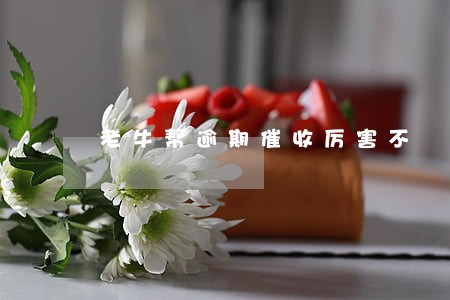 老牛帮逾期催收厉害不 老牛帮逾期催收厉害不