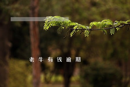 老牛有钱逾期 老牛有钱逾期