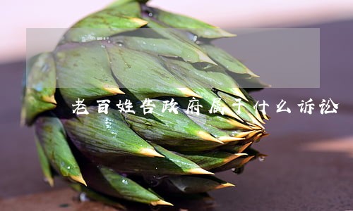 老百姓告政府属于什么诉讼 老百姓告政府属于什么诉讼
