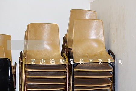 老虎逾期最长回款时间 老虎逾期最长回款时间