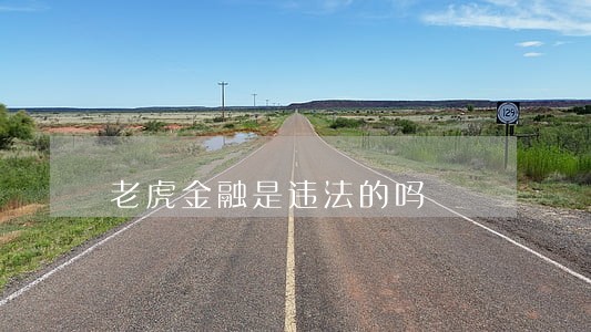 老虎金融是违法的吗