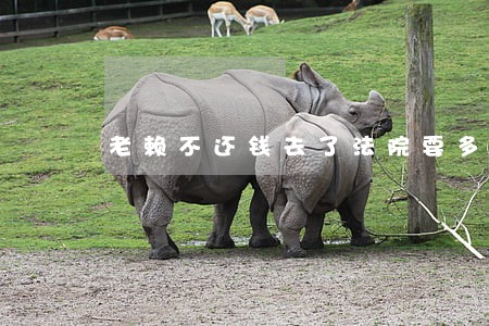 老赖不还钱去了法院要多久解决 老赖不还钱去了法院要多久解决