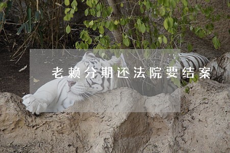 老赖分期还法院要结案 老赖分期还法院要结案