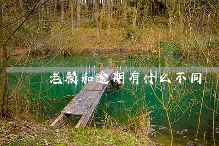 老赖和逾期有什么不同 老赖和逾期有什么不同