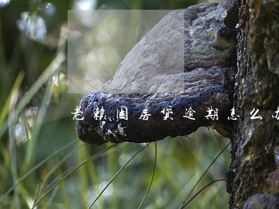 老赖因房贷逾期怎么办 老赖因房贷逾期怎么办
