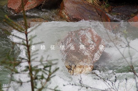 老赖征信逾期记录 老赖征信逾期记录