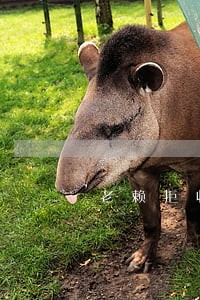 老赖拒收诉讼时效 老赖拒收诉讼时效