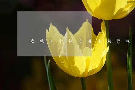 老赖父母征信有逾期影响政审吗 老赖父母征信有逾期影响政审吗