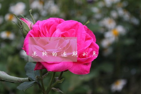 老赖的逾期利息 老赖的逾期利息