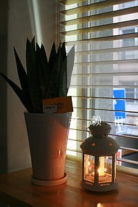 老赖租客逾期 老赖租客逾期