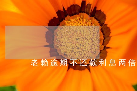 老赖逾期不还款利息两倍 老赖逾期不还款利息两倍