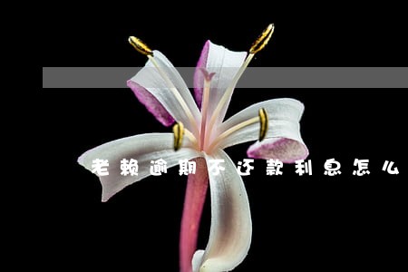 老赖逾期不还款利息怎么算 老赖逾期不还款利息怎么算