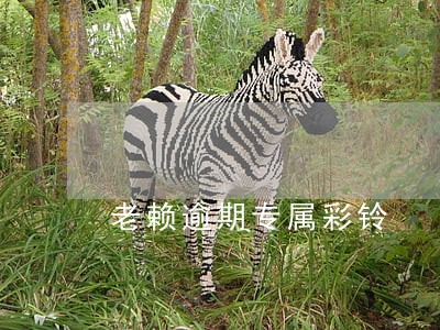 老赖逾期专属彩铃 老赖逾期专属彩铃