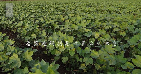 老赖逾期利息计算公式大全 老赖逾期利息计算公式大全