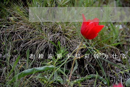 老赖逾期手机彩铃为什么被叫停 老赖逾期手机彩铃为什么被叫停