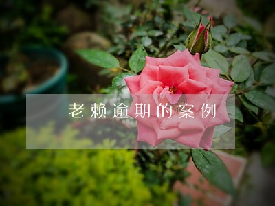 老赖逾期的案例 老赖逾期的案例