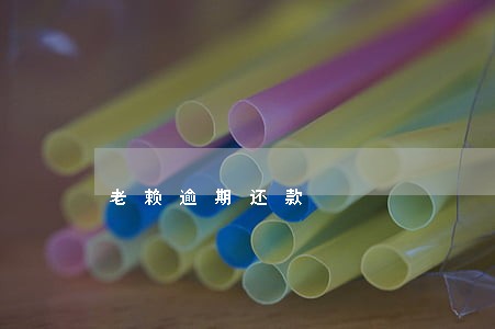 老赖逾期还款