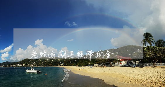 老赖逾期还款滞纳金 老赖逾期还款滞纳金