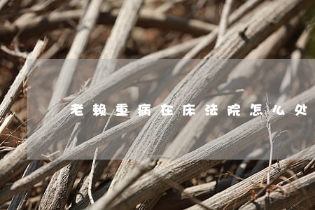 老赖重病在床法院怎么处理 老赖重病在床法院怎么处理