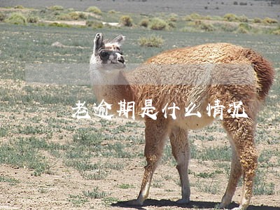 老逾期是什么情况 老逾期是什么情况