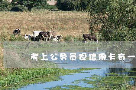 考上公务员但信用卡有一次逾期 考上公务员但信用卡有一次逾期