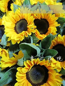 考上法院律师证
