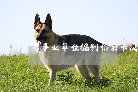 考事业单位编制信用卡没逾期 考事业单位编制信用卡没逾期