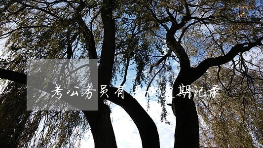 考公务员有恶意逾期记录 考公务员有恶意逾期记录
