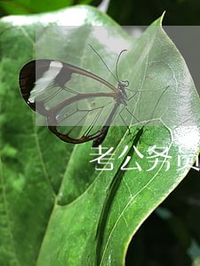 考公务员父母征信有逾期记录 考公务员父母征信有逾期记录