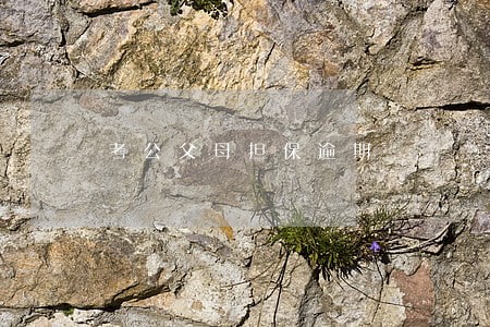 考公父母担保逾期 考公父母担保逾期