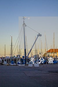 考分查询征信逾期 考分查询征信逾期