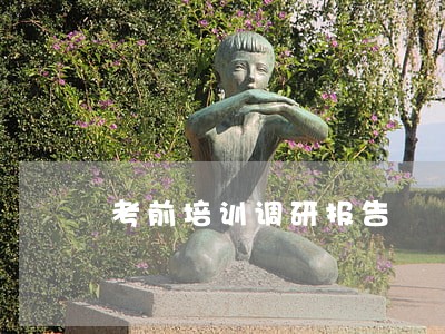 考前培训调研报告 考前培训调研报告