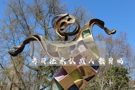 考司法承认成人教育吗 考司法承认成人教育吗