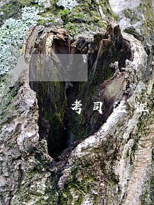 考司法证能从事什么工作 考司法证能从事什么工作