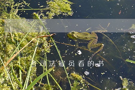 考司法雇员看的书