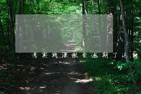 考实践课缴费逾期了还能考吗 考实践课缴费逾期了还能考吗