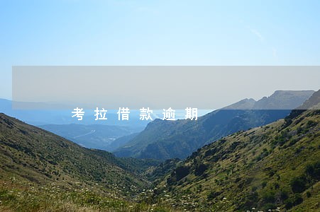 考拉借款逾期 考拉借款逾期