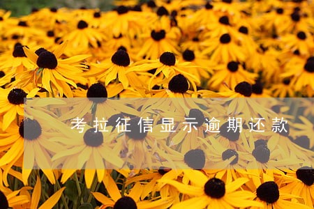 考拉征信显示逾期还款 考拉征信显示逾期还款