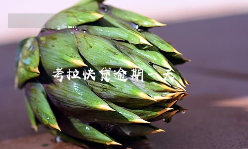 考拉快贷逾期一天