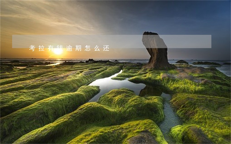 考拉有钱逾期怎么还 考拉有钱逾期怎么还