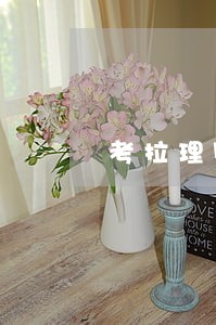 考拉理财逾期一个月 考拉理财逾期一个月