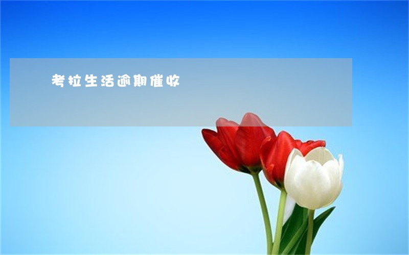 考拉生活逾期催收