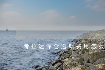 考拉迷你仓逾期费用怎么算 考拉迷你仓逾期费用怎么算