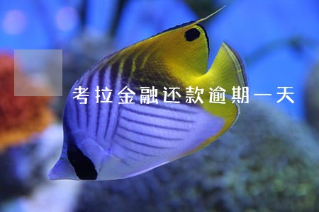 考拉金融还款逾期一天